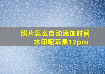 照片怎么自动添加时间水印呢苹果12pro