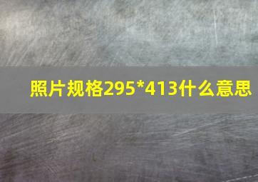 照片规格295*413什么意思