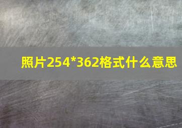 照片254*362格式什么意思