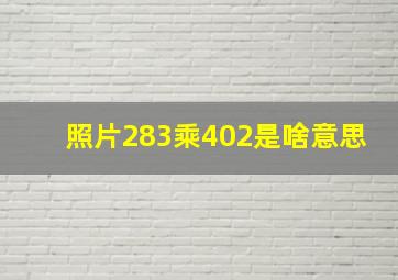 照片283乘402是啥意思