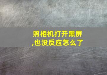 照相机打开黑屏,也没反应怎么了