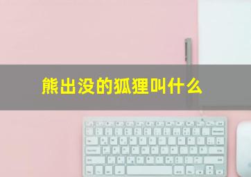 熊出没的狐狸叫什么