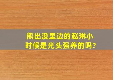 熊出没里边的赵琳小时候是光头强养的吗?