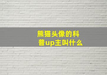 熊猫头像的科普up主叫什么