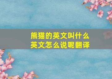 熊猫的英文叫什么英文怎么说呢翻译