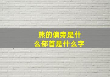 熊的偏旁是什么部首是什么字