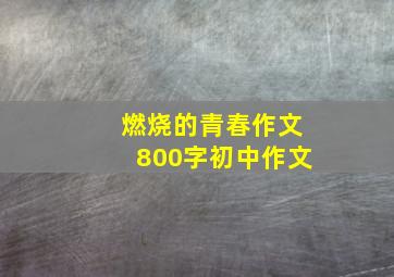 燃烧的青春作文800字初中作文