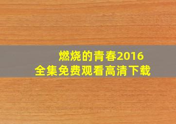 燃烧的青春2016全集免费观看高清下载