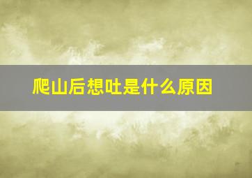 爬山后想吐是什么原因