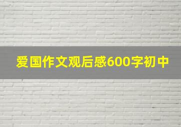 爱国作文观后感600字初中