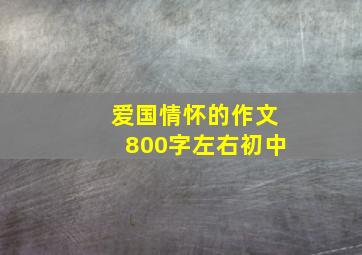 爱国情怀的作文800字左右初中