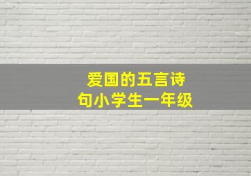 爱国的五言诗句小学生一年级