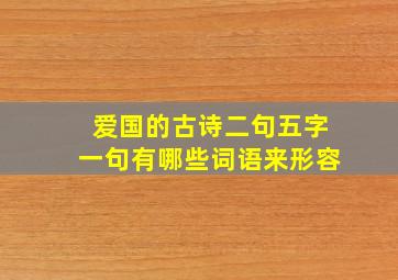 爱国的古诗二句五字一句有哪些词语来形容