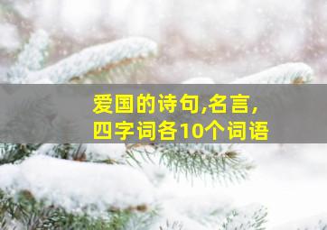 爱国的诗句,名言,四字词各10个词语