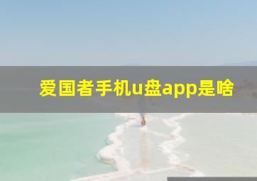 爱国者手机u盘app是啥