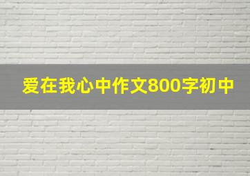 爱在我心中作文800字初中