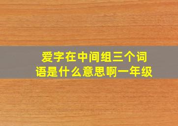 爱字在中间组三个词语是什么意思啊一年级