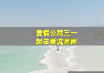 爱情公寓三一起去看流星雨