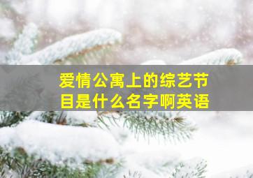 爱情公寓上的综艺节目是什么名字啊英语