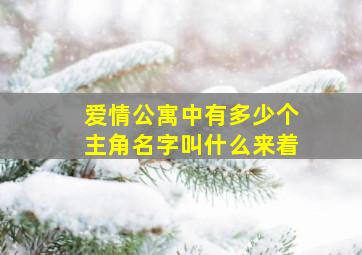 爱情公寓中有多少个主角名字叫什么来着