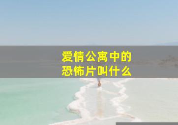 爱情公寓中的恐怖片叫什么