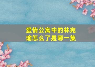 爱情公寓中的林宛瑜怎么了是哪一集