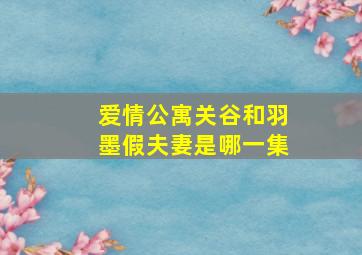 爱情公寓关谷和羽墨假夫妻是哪一集