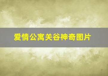 爱情公寓关谷神奇图片