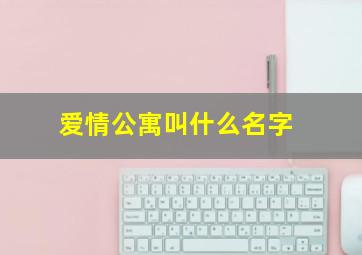 爱情公寓叫什么名字