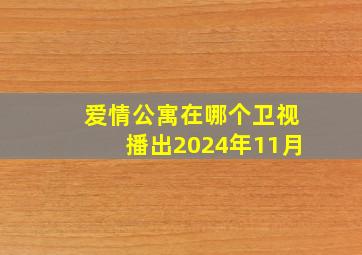 爱情公寓在哪个卫视播出2024年11月