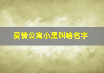 爱情公寓小黑叫啥名字