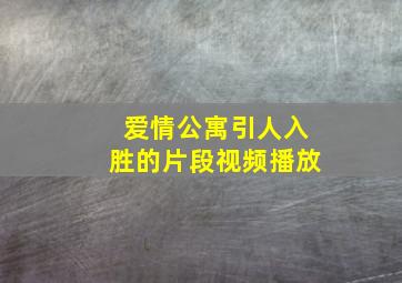 爱情公寓引人入胜的片段视频播放