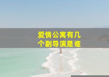 爱情公寓有几个副导演是谁