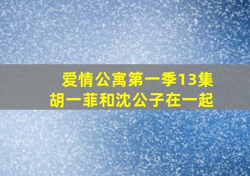 爱情公寓第一季13集胡一菲和沈公子在一起