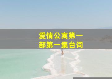 爱情公寓第一部第一集台词