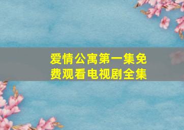 爱情公寓第一集免费观看电视剧全集