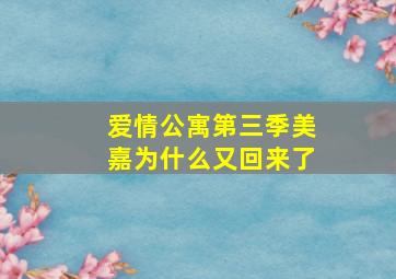 爱情公寓第三季美嘉为什么又回来了