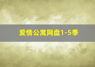 爱情公寓网盘1-5季