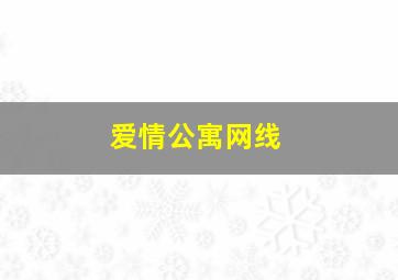 爱情公寓网线