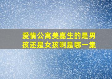 爱情公寓美嘉生的是男孩还是女孩啊是哪一集