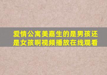 爱情公寓美嘉生的是男孩还是女孩啊视频播放在线观看