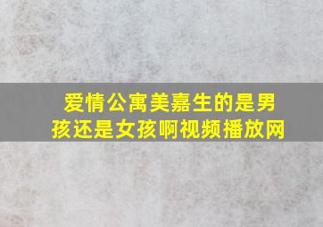 爱情公寓美嘉生的是男孩还是女孩啊视频播放网