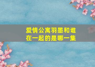 爱情公寓羽墨和谁在一起的是哪一集