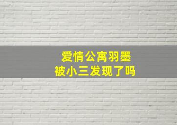 爱情公寓羽墨被小三发现了吗