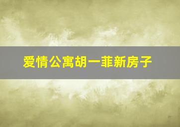 爱情公寓胡一菲新房子