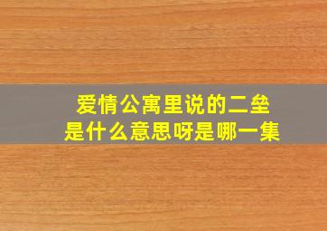 爱情公寓里说的二垒是什么意思呀是哪一集