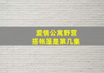 爱情公寓野营搭帐篷是第几集