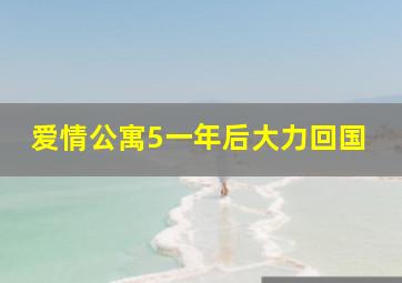 爱情公寓5一年后大力回国