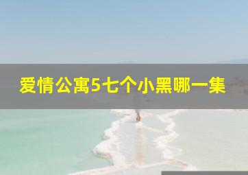 爱情公寓5七个小黑哪一集