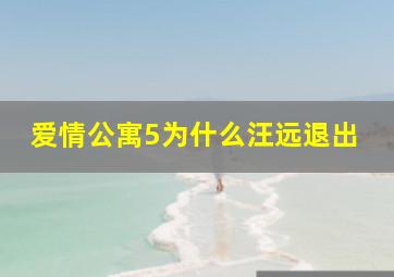 爱情公寓5为什么汪远退出